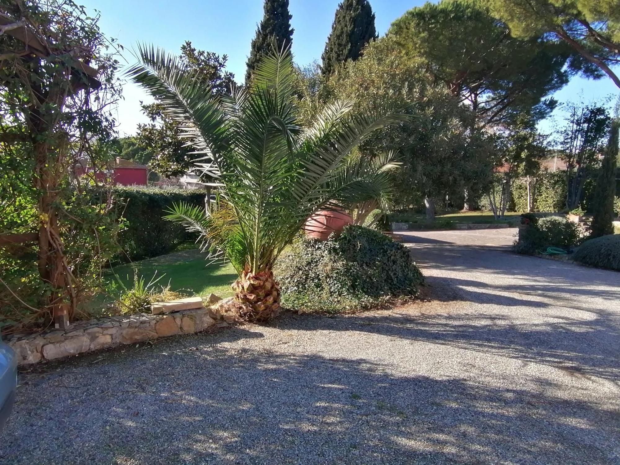 Affitti Brevi Toscana - Villa Simple Fonteblanda Eksteriør bilde