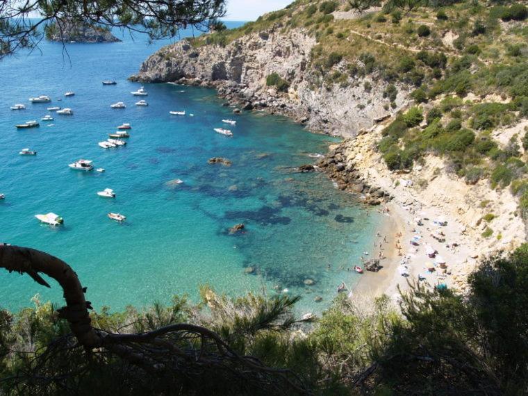 Affitti Brevi Toscana - Villa Simple Fonteblanda Eksteriør bilde